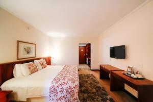 um quarto de hotel com uma cama e uma televisão de ecrã plano em Sorocaba Park Hotel by Atlantica em Sorocaba