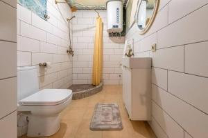 ein kleines Badezimmer mit Toilette und Dusche in der Unterkunft Beautiful one bedroom apartment in Vilnius old town in Vilnius + 29 Fotos