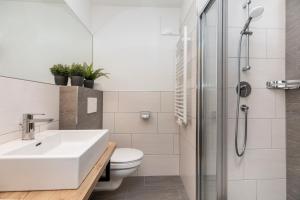 a bathroom with a toilet and a sink and a shower at Souterrain Apartment Flachau in Flachau +21 photos
