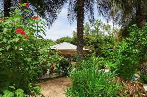 a garden with palm trees and a house in the background at Campement Sindéye in Abémé