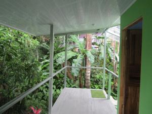 een loopbrug in een kamer met bomen en planten bij Peace of Paradise in Manuel Antonio