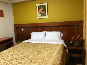Postel nebo postele na pokoji v ubytování Sumaq Hotel Tacna