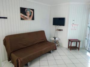 TV a/nebo společenská místnost v ubytování Appart'hotel La croisière