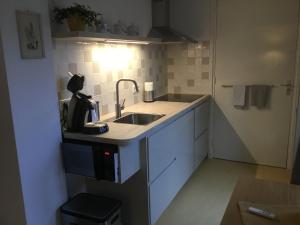 Kuchyň nebo kuchyňský kout v ubytování B & B Rosamie