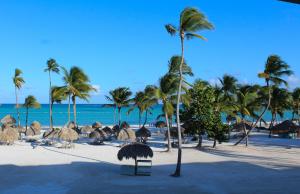 - une plage avec des parasols, des palmiers et l'océan dans l'établissement Secrets Cap Cana Resort & Spa - Adults Only - All Inclusive, à Punta Cana