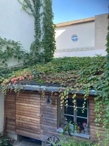 Ogród w obiekcie Pension Sunnseitn - Gasthof - Café - Weinkeller