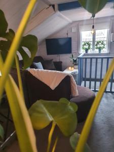 - un salon avec un canapé et une télévision dans l'établissement Lugnets hotellägenhet, à Leksand