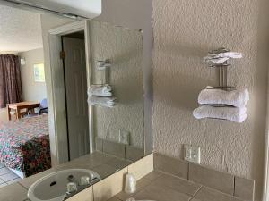 a bathroom mirror with a sink and a bed at Budget Inn Motel in Austin