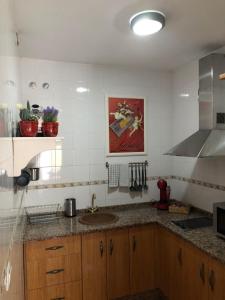 Kuchyň nebo kuchyňský kout v ubytování Apartamento Ocuri
