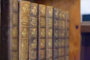 a row of books on a shelf in a library at Rønhave in Sønderborg