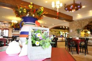 Reštaurácia alebo iné gastronomické zariadenie v ubytovaní Hotel Złoty Młyn Majków