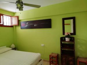 ein Schlafzimmer mit grünen Wänden, einem Bett und einem Spiegel in der Unterkunft El Sol de Las Negras con vistas al mar in Las Negras