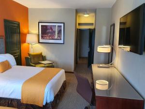 Hotel San Francisco Leon في ليون: غرفة فندقية بسرير وتلفزيون بشاشة مسطحة