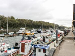 a bunch of boats docked in a harbor at Sea Spray in Eyemouth