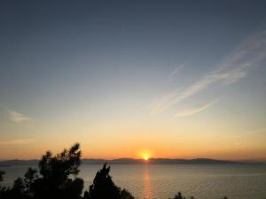 a sunset over the water with trees in the foreground at PYRGOS RALLI ESTATE Apartments and Suites in Aegina Town