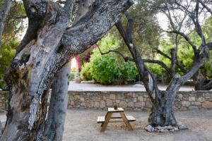 una mesa de picnic de madera junto a un árbol en PYRGOS RALLI ESTATE Apartments and Suites, en Aegina Town