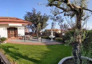 un cortile con un albero e un patio di Casa Vacanze Volpe Dell'Etna a Nicolosi