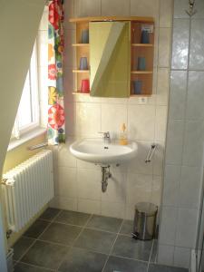 y baño con lavabo y espejo. en Villa Am Rosenfelspark, en Lörrach