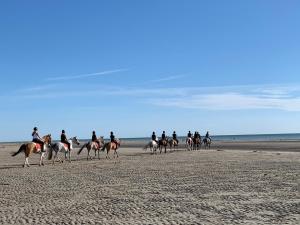 a group of people riding horses on the beach at Appartement familial plein centre Hardelot Plage in Hardelot-Plage