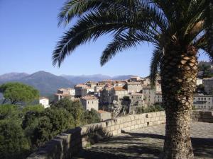 una palma accanto a un muro e una città di Demeure traditionnelle en pierre avec piscine a Sartène