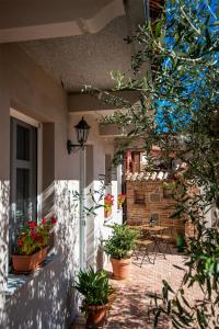 Zahrada ubytování Casa Langhe