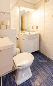 a bathroom with a toilet and a sink and a mirror at Weissenbacherhof in Oslip