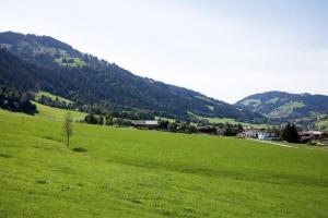 Bettys Ferienwohnung في Grafenweg: حقل أخضر مع جبال في الخلفية