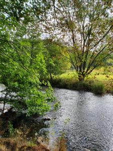 una corriente de agua con árboles en el primer plano en Romantik Hotel Alte Vogtei en Hamm