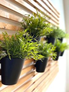 a row of potted plants on a window sill at Apartman Kelava in Vukovar +19 photos