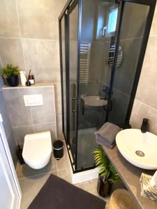 a bathroom with a shower and a toilet and a sink at Apartman Kelava in Vukovar