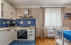 Kuchyň nebo kuchyňský kout v ubytování Villa Andrea