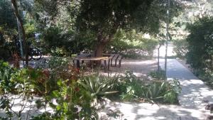 Φωτογραφία από το άλμπουμ του Kampos Rooms στην Παλαιοχώρα +36 φωτογραφίες