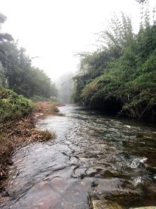 Un paisaje natural cerca de la casa vacacional