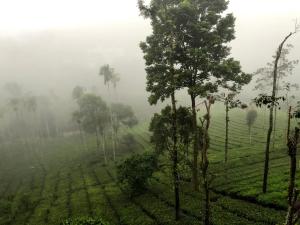 Un paisaje natural cerca de la casa vacacional