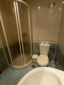 baño con ducha y aseo blanco en Casa Tito, en Campo Lameiro
