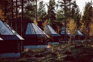 a group of houses in a field with trees at Aurora Village Ivalo in Ivalo