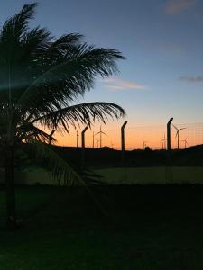 eine Silhouette einer Palme und ein Sonnenuntergang in der Unterkunft Chalé condomínio beira mar em Zumbi Beach Resort in Rio do Fogo