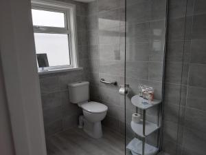 a bathroom with a toilet and a glass shower at Trevarrian Lodge in Newquay