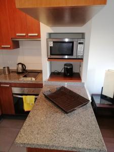 cocina con microondas y encimera en Bello Centro, en Concepción