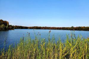 Peisaj natural din apropierea acestei case de vacanță