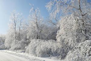Paradise in heart of Poconos FaSt InTeRnEt Close to All Attractions iarna
