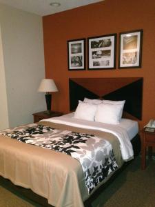 Säng eller sängar i ett rum på Sleep Inn Pelham Oak Mountain