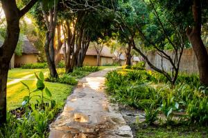 a stone path through a garden with trees at Namushasha River Campsite in Kongola