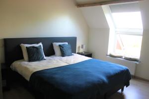 a bedroom with a large bed with blue sheets and a window at De Blauwe Hoeve in Zwijndrecht