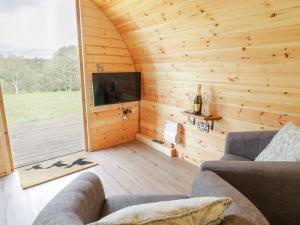 a living room with wooden walls and a flat screen tv at Embden Pod at Banwy Glamping in Welshpool