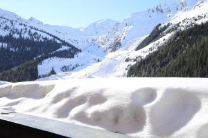 Appart & Chalet Montana Hochfügen (Contactless Stay) v zimě