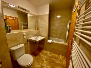 Kúpeľňa v ubytovaní Apartmány Lipno 46