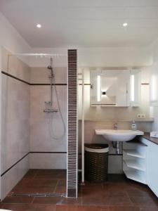 y baño con lavabo y ducha. en Ferienwohnung Nina Lütjenburg Klamp Ostsee, en Lütjenburg