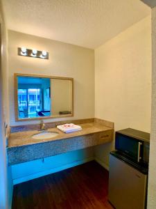 a bathroom with a sink and a mirror at LA VISTA INN in Port Richey