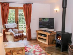 a living room with a fireplace and a television at Dingle Cottage in Shrewsbury